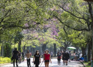Termômetros devem chegar aos 33°C na capital paulista