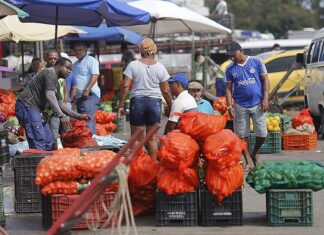 Trabalhadores da Ceasa de Simões Filho temem ficar sem renda após concessão