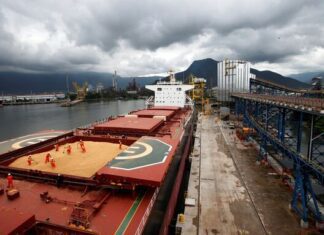 PIB: agropecuária e indústria recuam; serviço avança no 2° trimestre