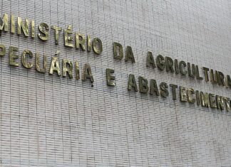 Casos de mal da vaca louca não são risco à produção bovina, diz OIE