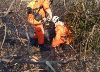 Meteorologia alerta para riscos da seca em seis estados e no DF