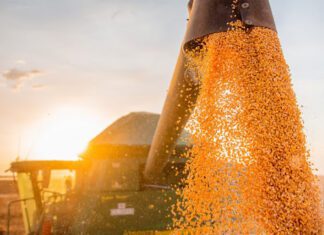 Bahia em Movimento #92 Recorde na agricultura