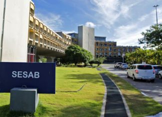 Bahia chega a marca de 18 notificações para “doença da urina preta”