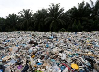 Relatório da ONU diz que poluição por plástico deve duplicar até 2030