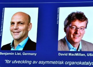 Nobel de Química é concedido a Benjamin List e David W.C. MacMillan