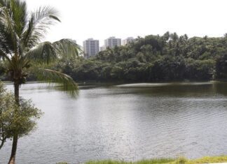 Governo do Estado estabelece parceria com BNDES para modernização de parques estaduais