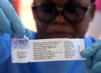 Novos casos de ebola são detectados no Congo