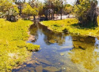 Futuro da energia: preservar nascentes para aumentar reservatórios
