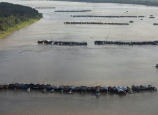 Governo federal prepara ação contra garimpo ilegal no Rio Madeira