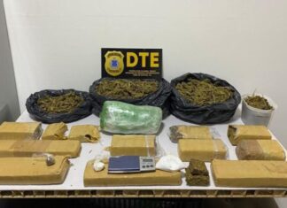 Investigações da DTE resultam em prisão de mulher com 10 kg de maconha em Feira