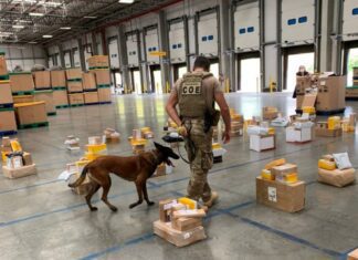 Draco aprende 10 encomendas com drogas nos Correios de Simões Filho