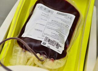 Hemorio alerta para queda no estoque de sangue neste fim de ano