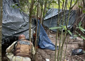 PM desmonta acampamentos do tráfico em São Roque do Paraguaçu e Antônio Cardoso
