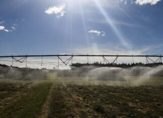 Fatores climáticos levaram à queda do PIB, diz secretaria