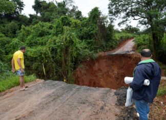 Chuvas provocam perdas de 119 mil hectares de lavouras de Minas Gerais