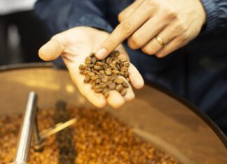 Safra de café deve registrar aumento de 16,8% em 2022, diz Conab