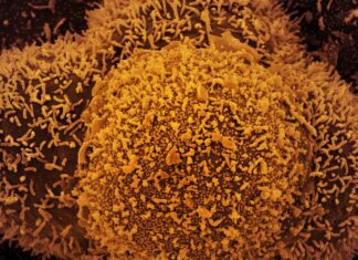 País tem 24.382 novos casos de covid-19 e 44 mortes em 24 horas