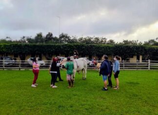 Setur-BA visa impulsionar turismo rural no estado