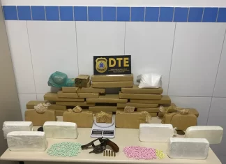 DTE apreende drogas avaliadas em R$ 300 mil em Feira de Santana