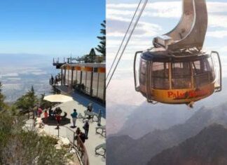 Homem despenca de 23 metros de altura em estação de bonde e sobrevive