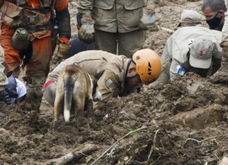 Mortes pela chuva em Petrópolis chegam a 120