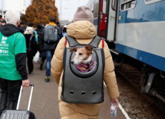 Rússia e Ucrânia vão abrir corredores humanitários para saída de civis