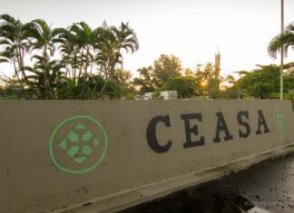 Edital para a concessão da Ceasa é publicado no Diário Oficial