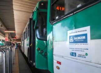 Mais 20 ônibus climatizados chegam para compor frota de Salvador