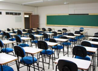 Rui Costa autoriza concurso público para contratação de 1.806 professores e 307 coordenadores pedagógicos