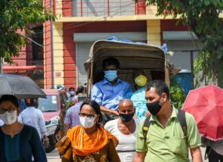 Pássaros caem do céu em onda de calor na Índia