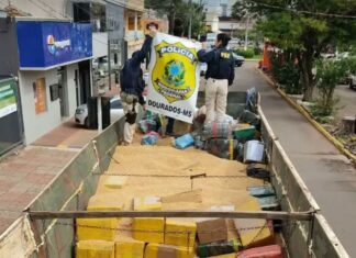 PRF faz a maior apreensão de maconha do ano em Ponta Porã