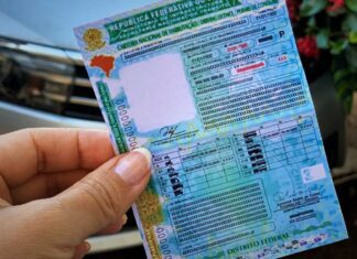 Carteira Nacional de Habilitação tem novo modelo a partir de hoje