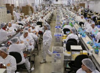 Dificuldade de acesso a insumos afeta 22 entre 25 setores da indústria