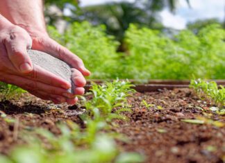 Aproveitamento de resíduos é tema de discussão na mineração baiana