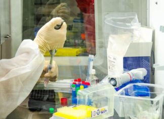 Varíola dos Macacos: Bahia tem 30 casos confirmados de Monkeypox