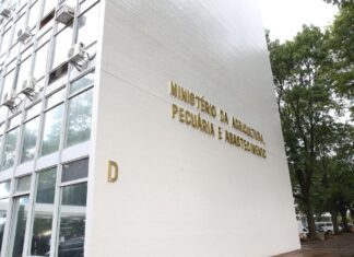 Ministério interdita fábrica de petiscos após morte de cachorros