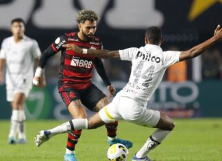 Em clima de Libertadores, Flamengo encara Santos pelo Brasileirão