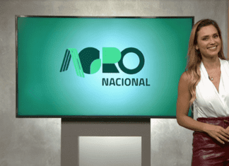 Agro Nacional deste domingo destaca produção de cana-de-açúcar