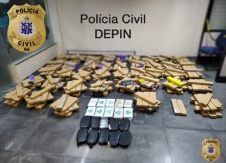 Mais de 231 toneladas de drogas são retiradas de circulação em 2022