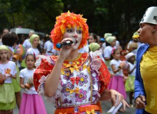 Carnaval de rua de São Paulo tem blocos infantis em todas as regiões