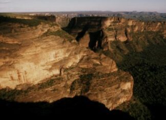 Pró-Espécies seleciona consultoria para realizar restauração ambiental em áreas do PAT Chapada Diamantina-Serra da Jiboia