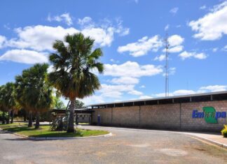 Sem-terra ocupam fazenda pertencente à Embrapa Semiárido
