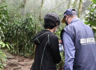 Apuração do Censo Demográfico 2022 terminou neste domingo