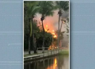 Poste pega fogo, atinge área de vegetação e deixa parte de principal destino turístico de Mata de São João sem energia elétrica