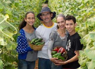 Lula retoma Plano Safra da Agricultura Familiar com juros baixos para produção de alimentos