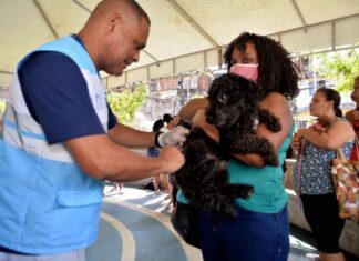 Salvador inicia Campanha de Vacinação Antirrábica nesta segunda-feira