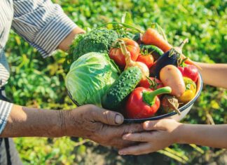 PT vota a favor do PL do governo Lula que recria o PAA, programa que ajudou o Brasil sair do Mapa da Fome