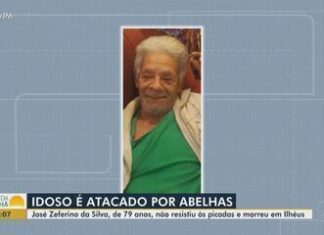 Idoso de 79 anos morre após ser atacado por abelhas quando estava com a família no interior da Bahia