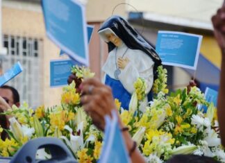 Missa e peregrinação nos bairros dão início à festa de Santa Dulce nesta terça