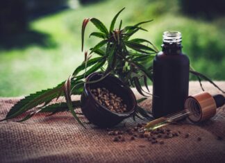 Congresso de Reumatologia discute uso de cannabis medicinal para tratamento da dor